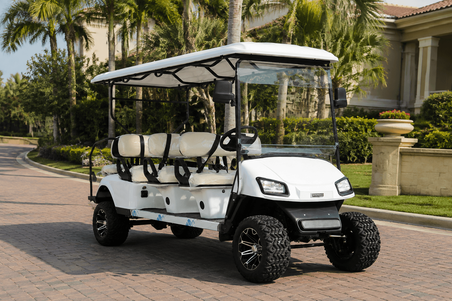 Residential and gated community golf carts