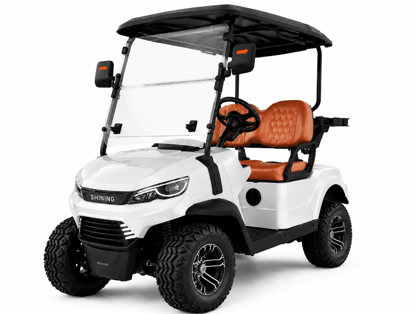 Custom color golf cart options