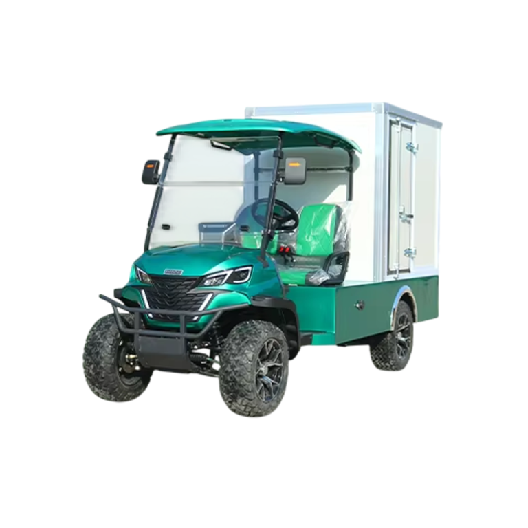 Custom New 2 Seater Electric Golf Cart with Cargo Boxes