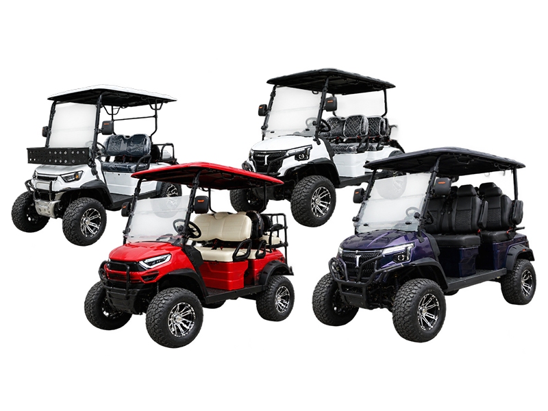 Two-seater electric golf carts for golf course fleet applications