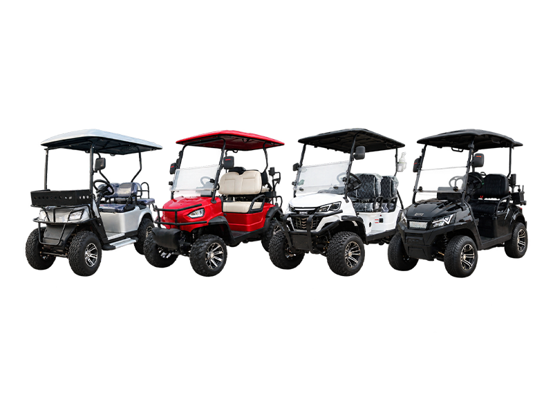 Multi-passenger gasoline golf cart for commercial transportation
