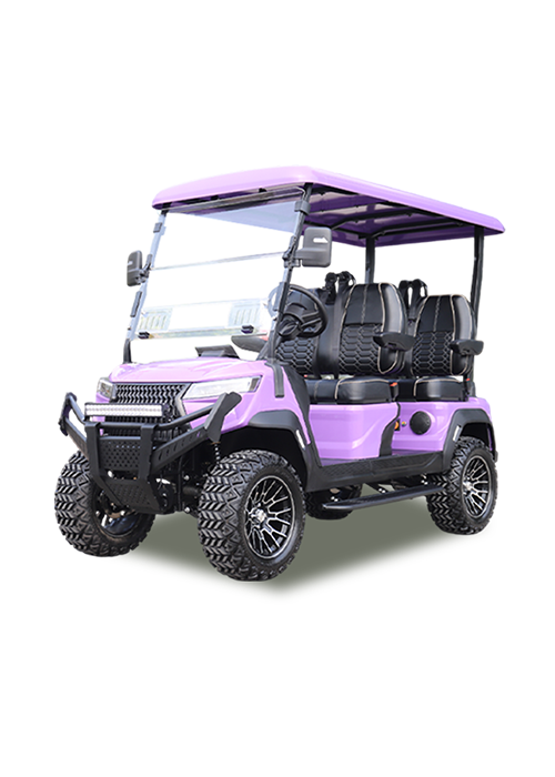 Shining Vehicle Model-N4 four-seat sightseeing cart for tourist attractions